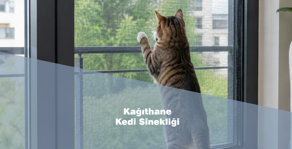 Kedi Sinekliği Kağıthane