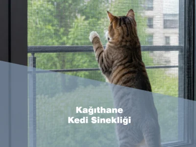 Kedi Sinekliği Kağıthane